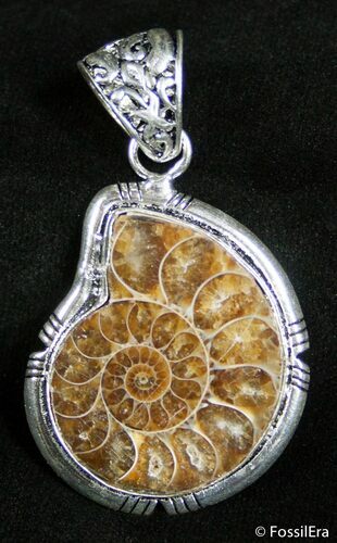 Ammonite Pendant #2471